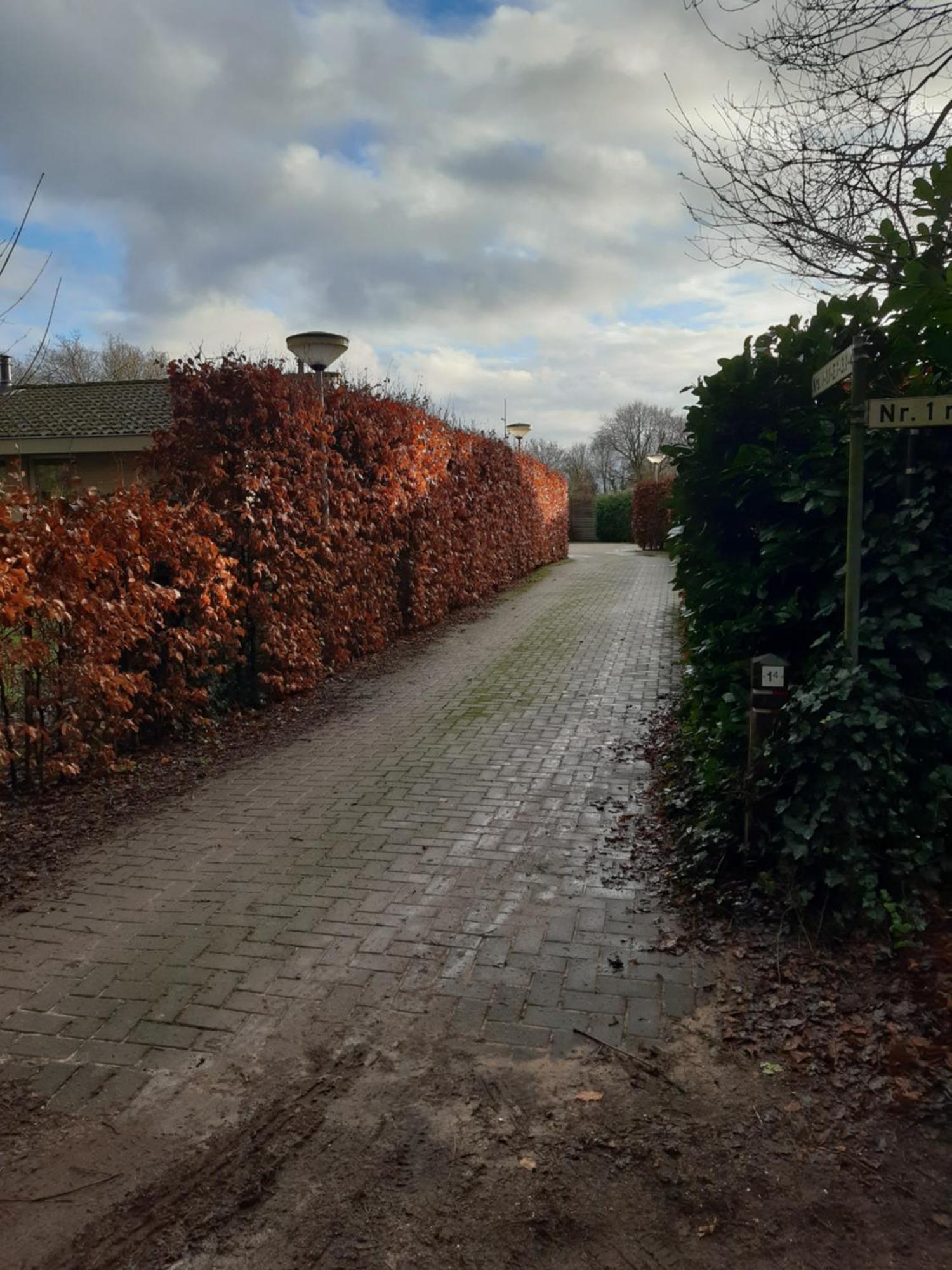 Huinerhofje 2 - Vrijstaand Met Grote Omheinde Tuin, Rust, Privacy En Nabij Bossen Villa Putten Dış mekan fotoğraf