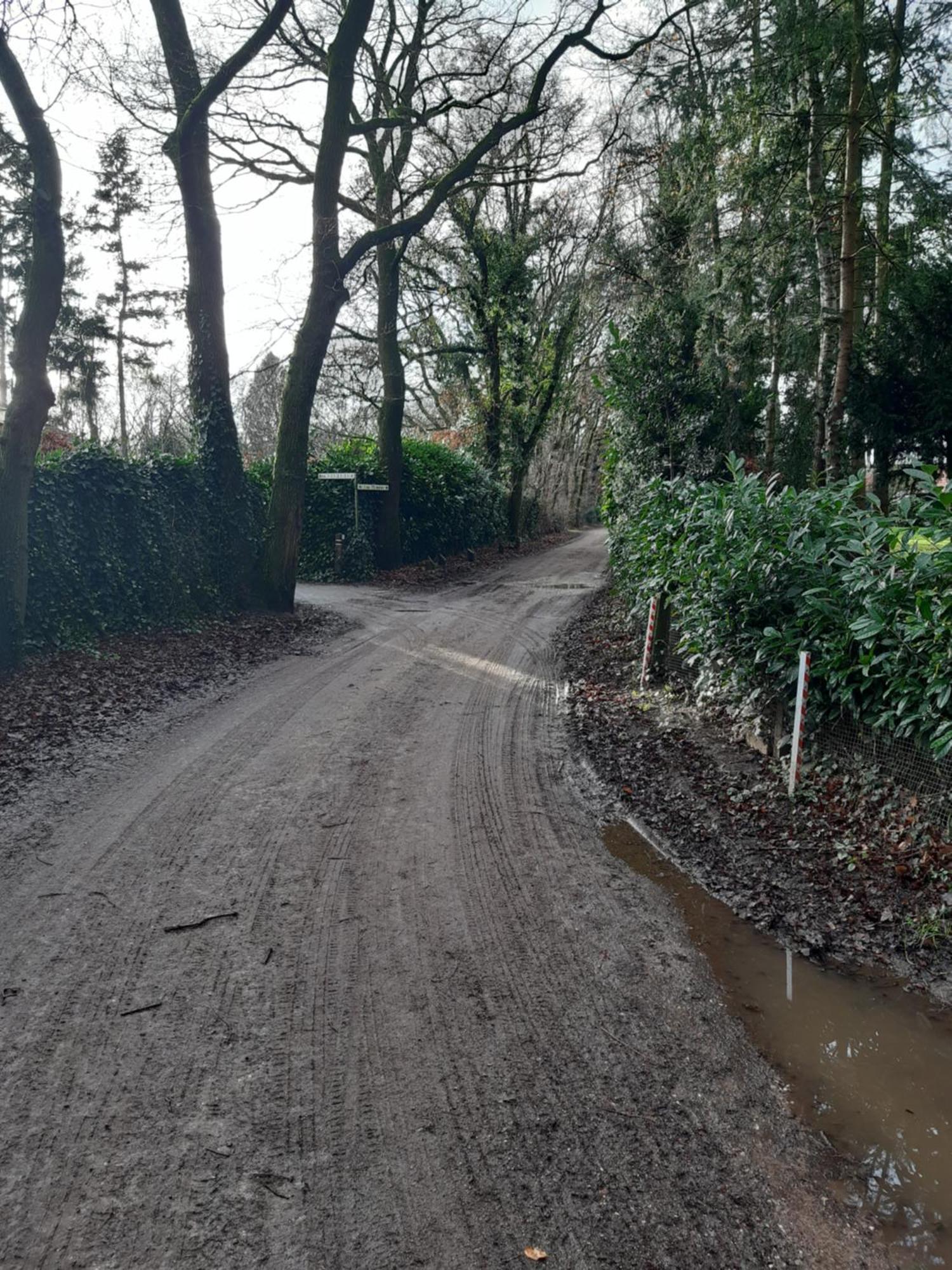 Huinerhofje 2 - Vrijstaand Met Grote Omheinde Tuin, Rust, Privacy En Nabij Bossen Villa Putten Dış mekan fotoğraf